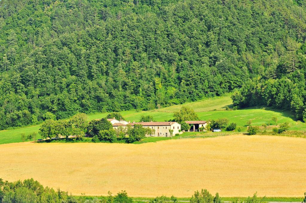 Agriturismo Popolano Di Sotto Marradi Exterior photo