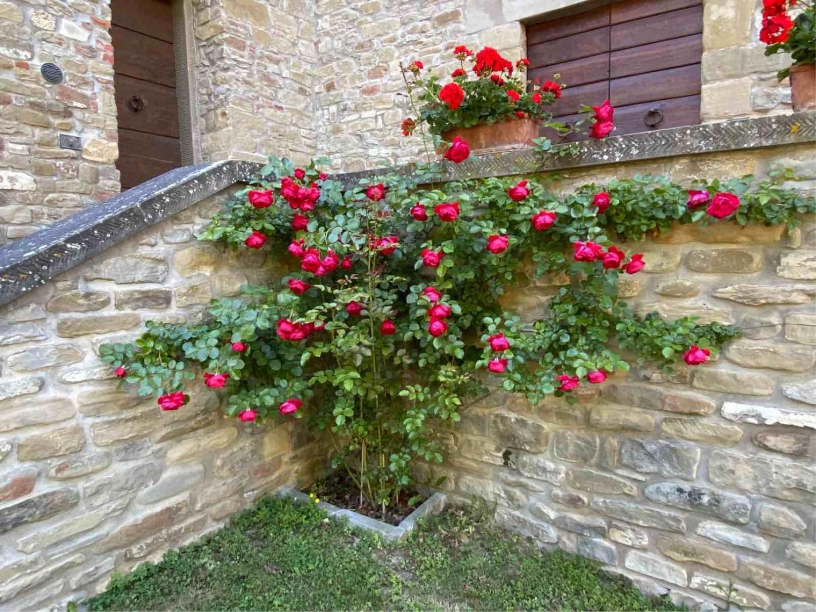 Agriturismo Popolano Di Sotto Marradi Exterior photo